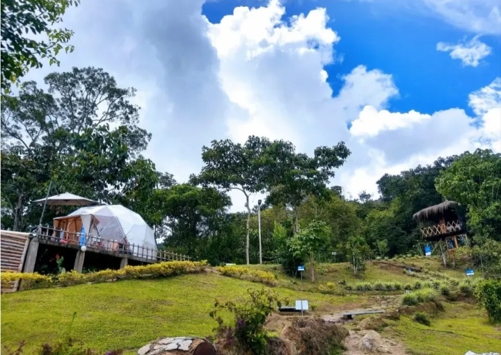 VENDO HERMOSO TERRENO EN SILVANIA CON GLAMPING